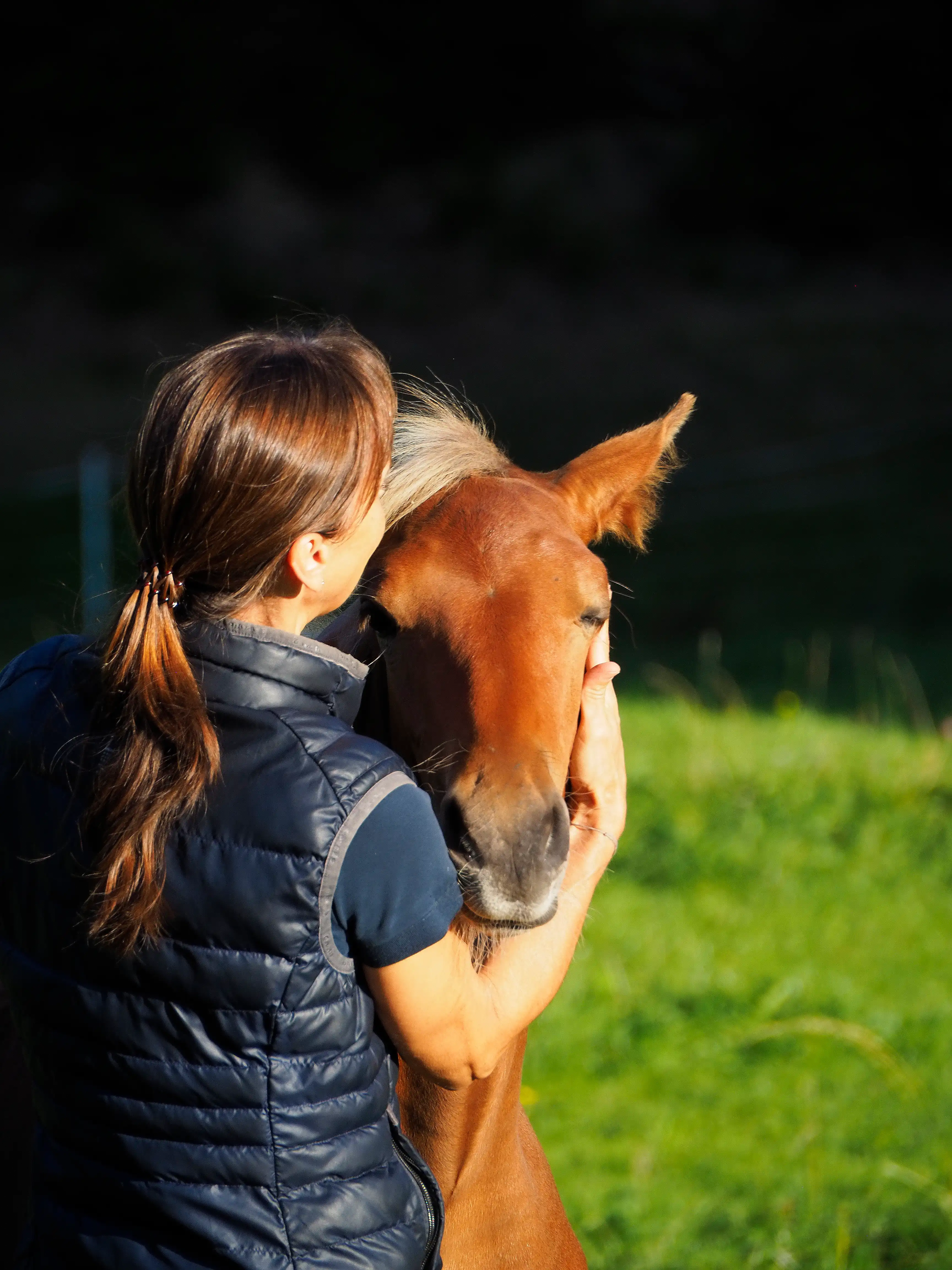 frau mit Pferd